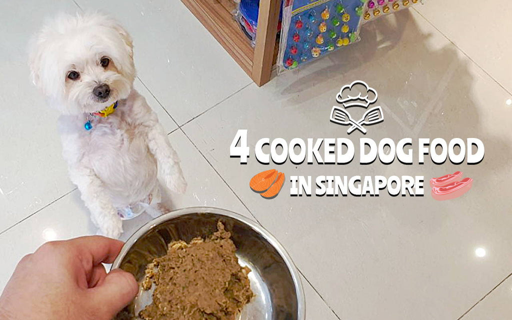4 Finest Cooked Dog Food Brands in Singapore