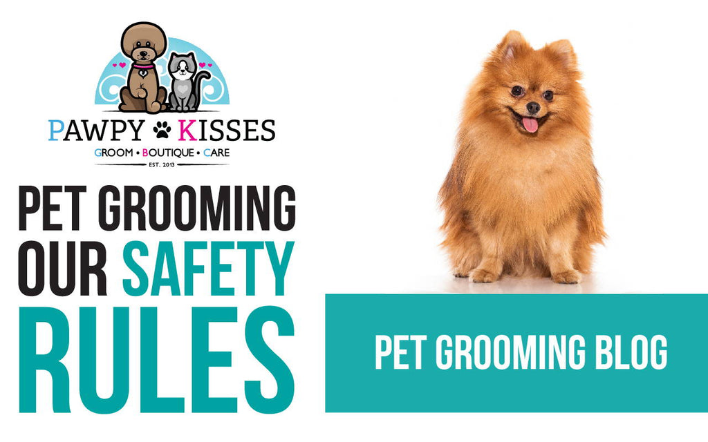 Pet Grooming Services Resume in Post Circuit Breaker Phase 1