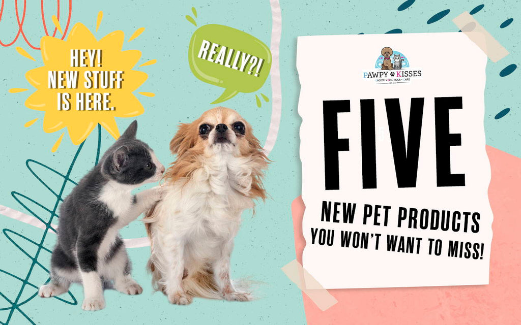 5 New Pet Products You Won't Want to Miss!