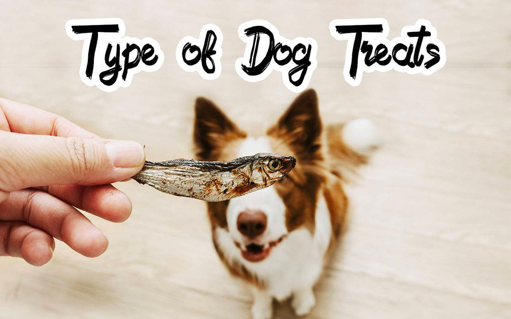 Type of Dog Treats on our Online Pet Shop