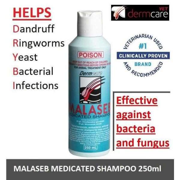 DermCare Sebolyse / Malaseb Clear Foam Medicated Pet Shampoo (3 Sizes