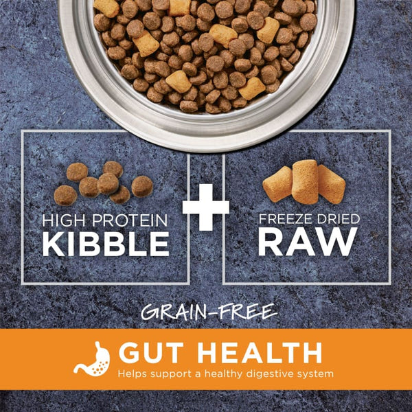 Instinct Raw Boost Grain-free Kibble Gut Health Recipe Dry Dog