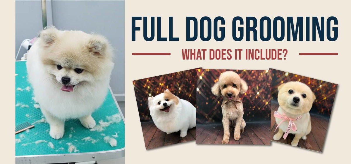 Full Dog Grooming