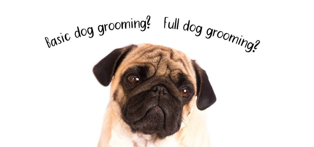 Full Grooming vs Basic Grooming [For Dogs]