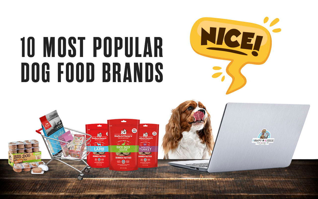 10 Most Popular Dog Food Brands At Our Online Pet Shop