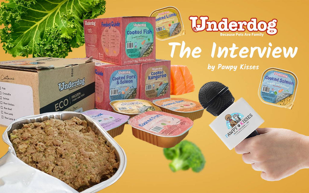 Interview with Underdog Fresh Dog Food | Pawpy Kisses