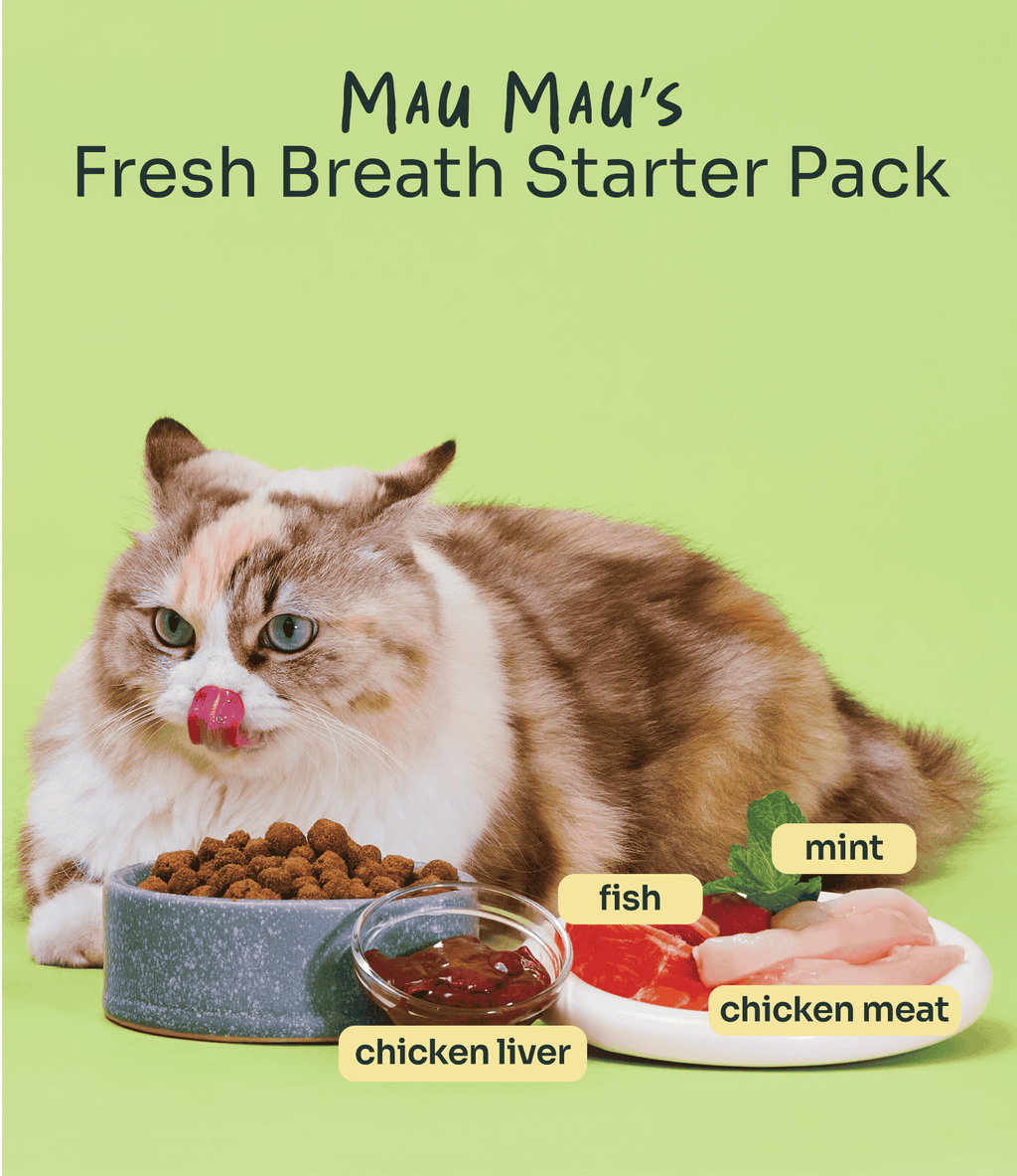 [10% OFF] Notti Mau Mau Plaque Control Dental Crunch (For Cats) Treats For Cats 80g
