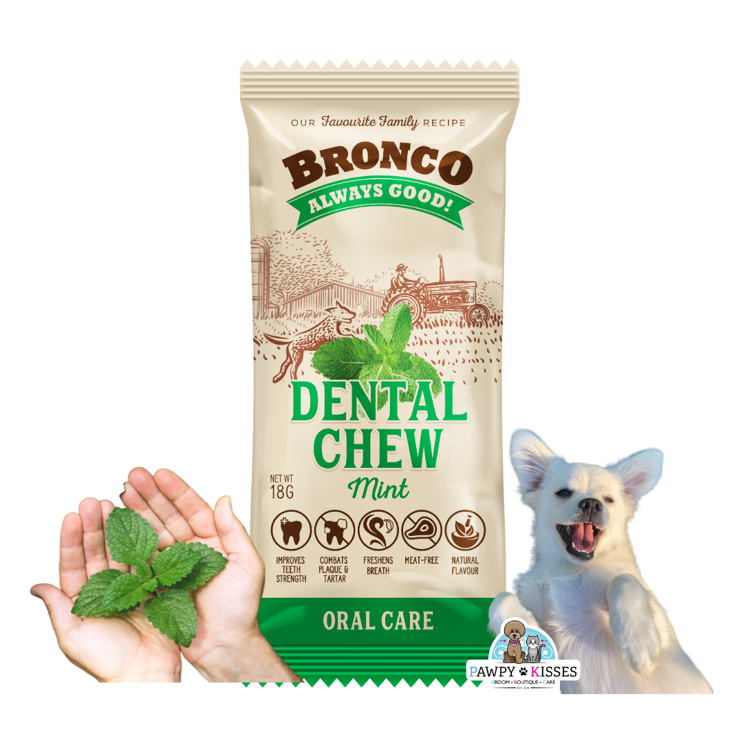 Bronco Dental Chew Mint 18g For Dogs (Single Pack / Carton)