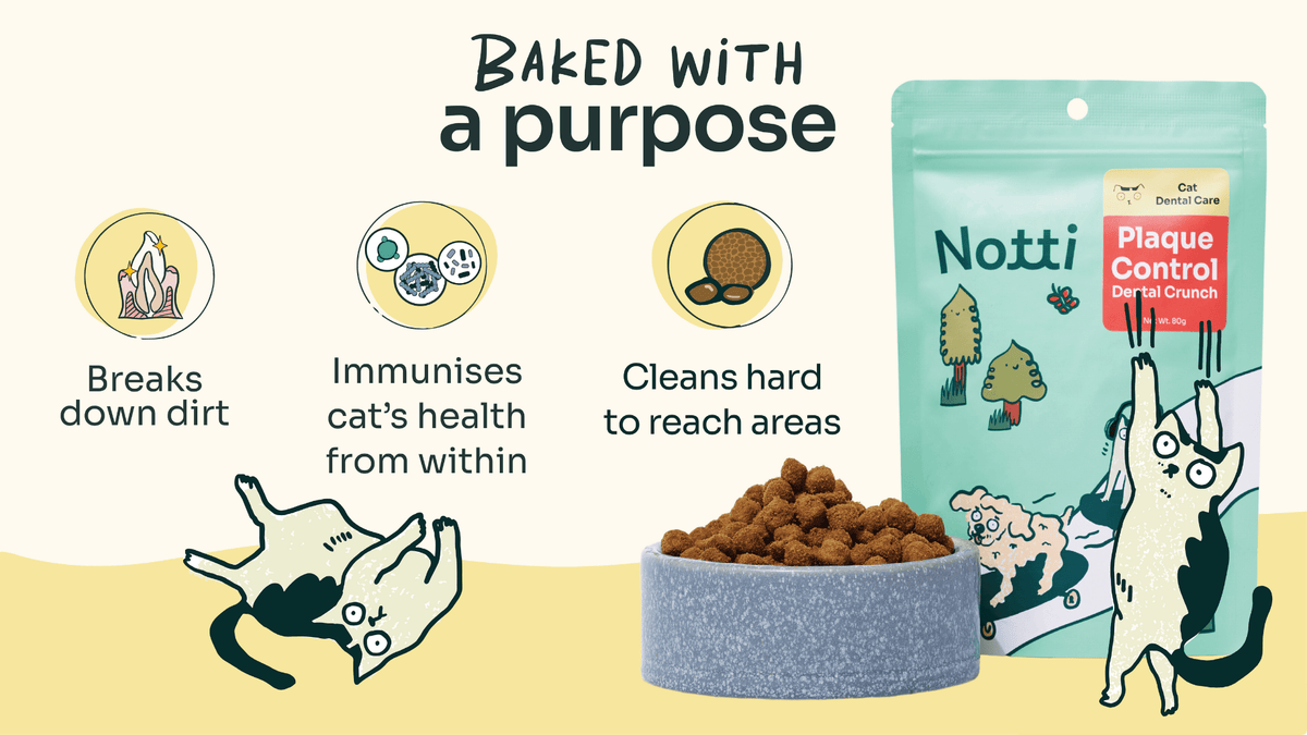 [10% OFF] Notti Mau Mau Plaque Control Dental Crunch (For Cats) Treats For Cats 80g