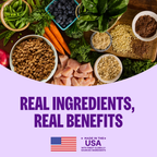 [FREE WIPE + 20% OFF] Wellness Complete Health Adult Large Breed Dry Dog Food [Weight: 30 lb]