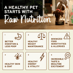 Primal Dog Freeze Dried Raw Nuggets Venison 14oz