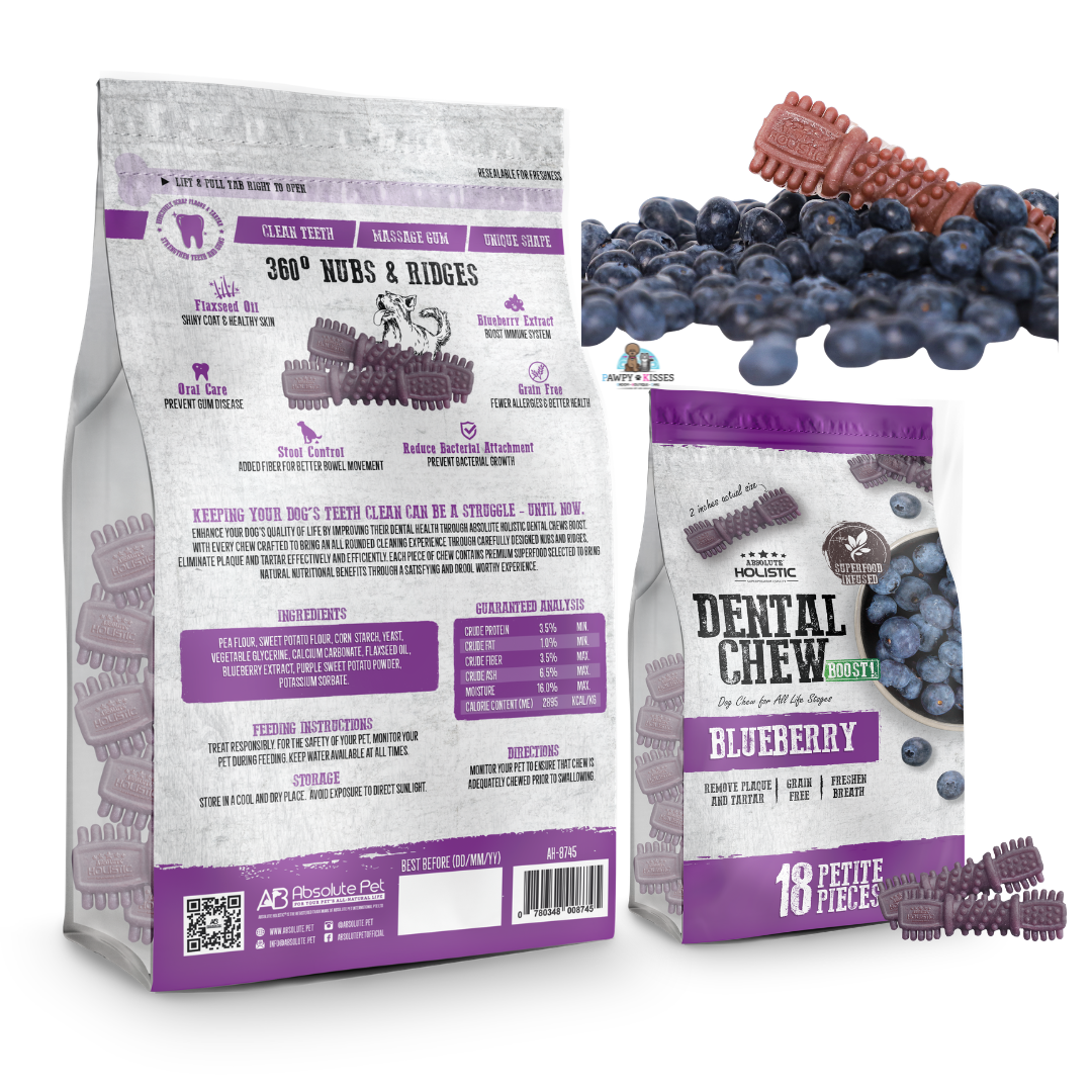 Absolute Holistic BOOST! Dental Chew for Dogs - Blueberry (160g) | 18PCS [PETITE SIZE]