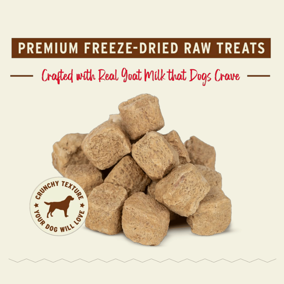 Primal Dog Freeze Dried Raw Treats Pumpkin For My Pumpkin - Pumpkin 2oz