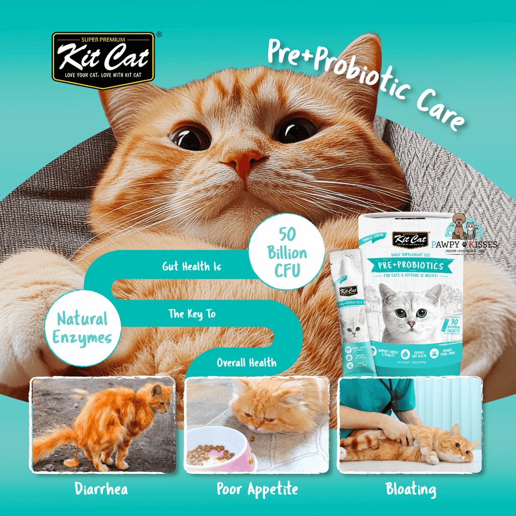 (30% OFF) Kit Cat Daily Nutritional Supplement Gel For Cats & Kittens - Pre+Probiotic Care (Tub) | (5g x 30 sticks)