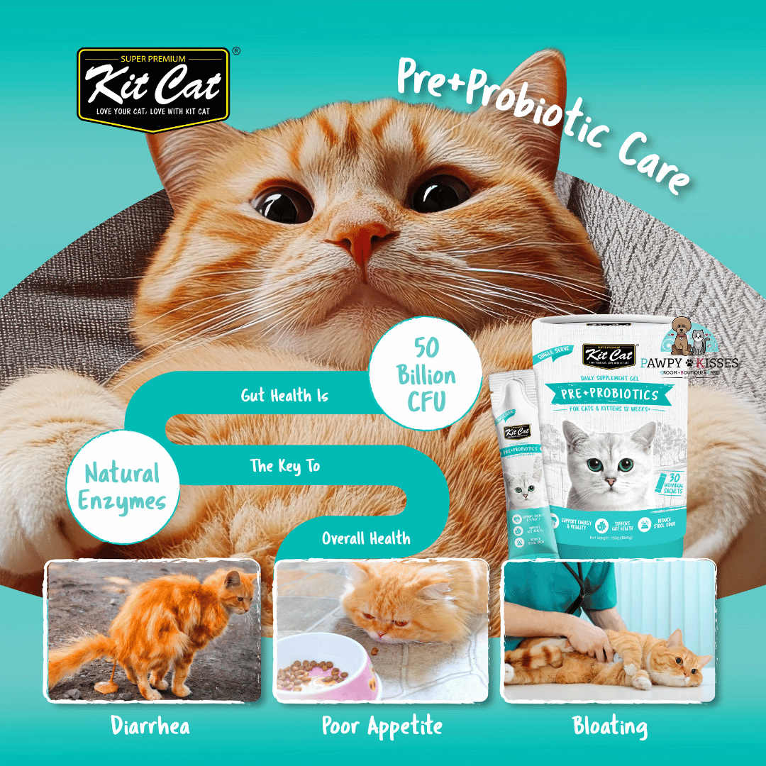 (30% OFF) Kit Cat Daily Nutritional Supplement Gel For Cats & Kittens - Pre+Probiotic Care (Tub) | (5g x 30 sticks)