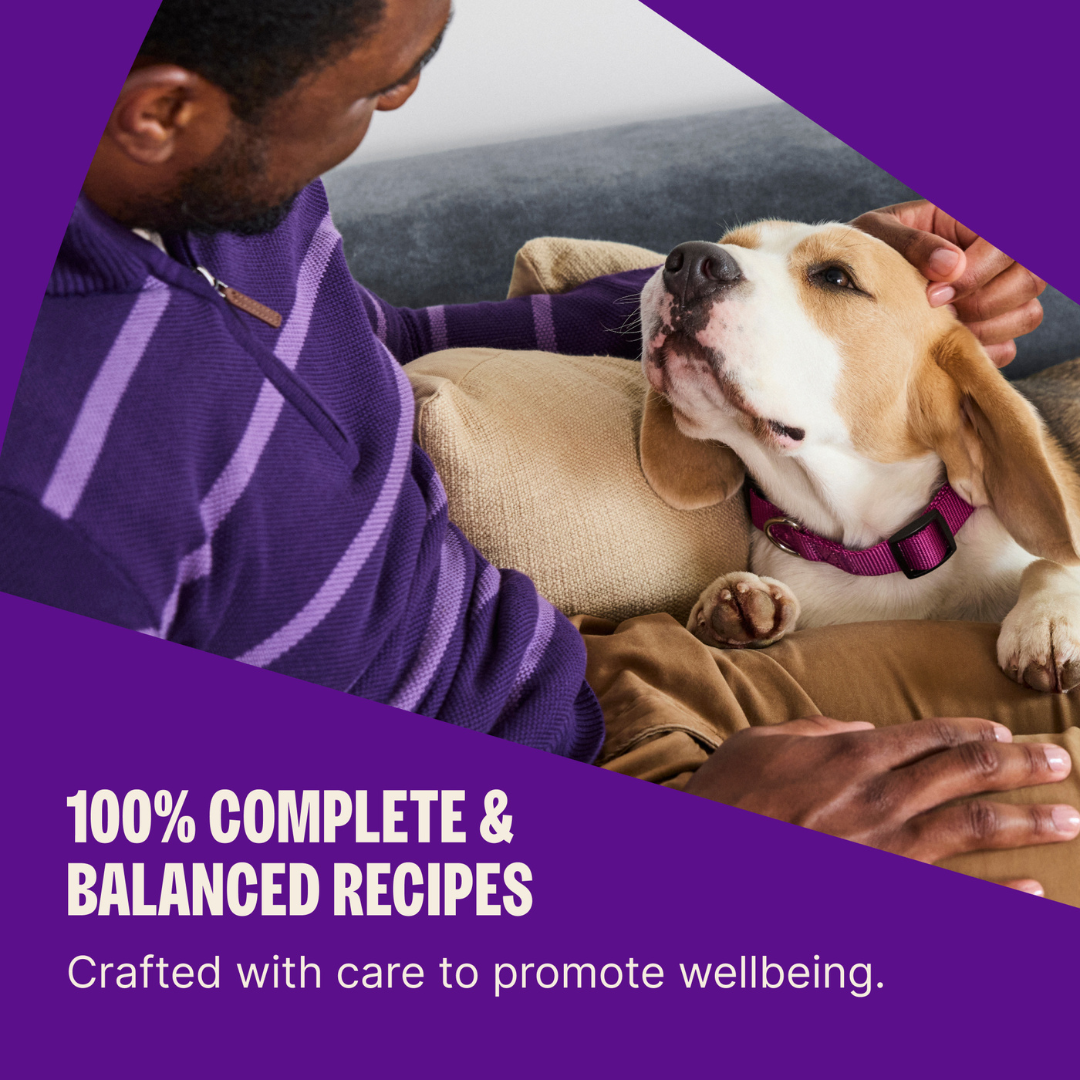 [FREE WIPE + 20% OFF] Wellness Complete Health Adult Large Breed Dry Dog Food [Weight: 30 lb]