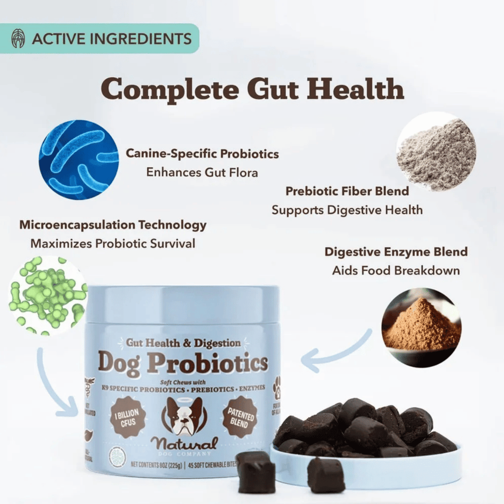 [Vet Approved] Natural Dog Probiotic Supplement (45 chews)
