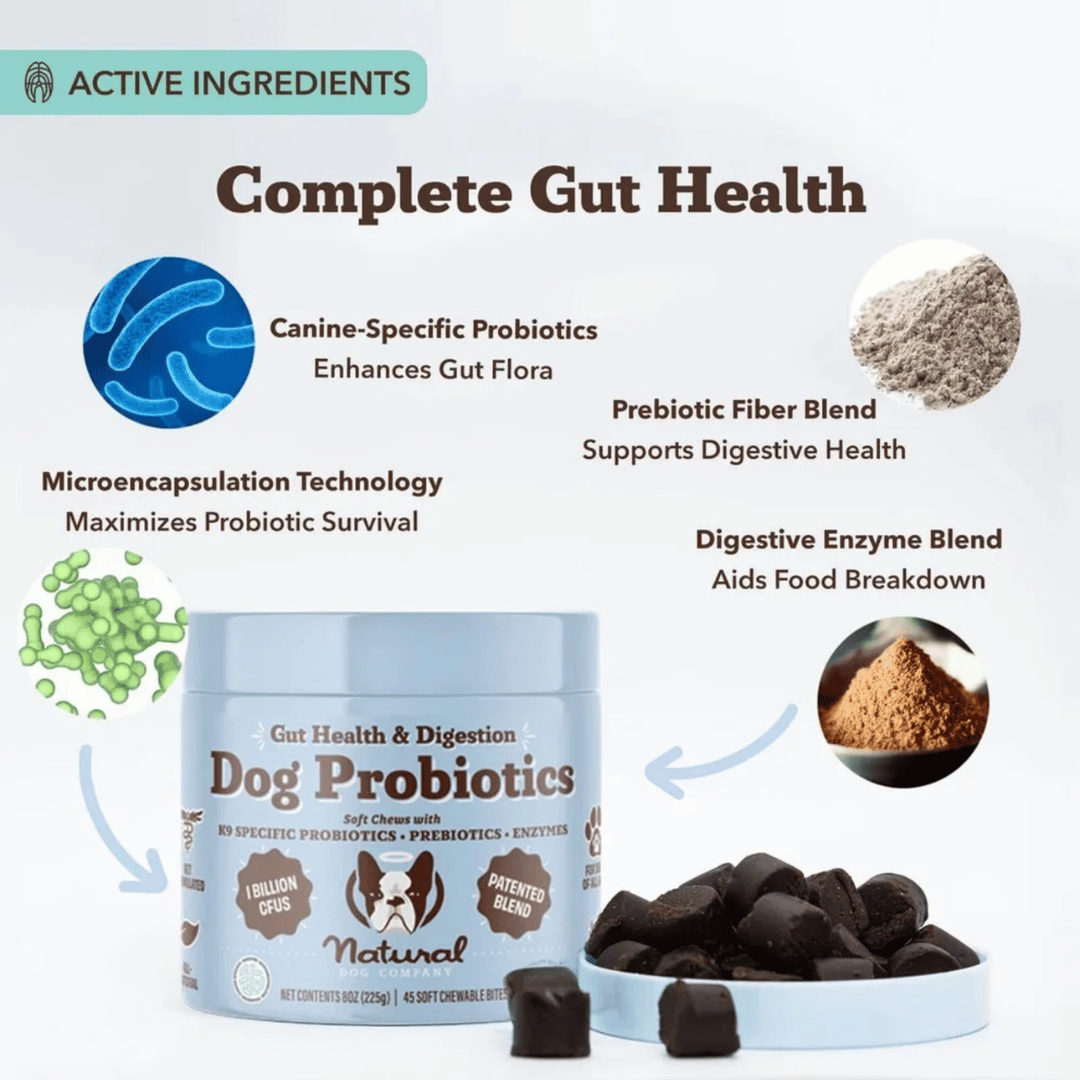 [Vet Approved] Natural Dog Probiotic Supplement (45 chews)