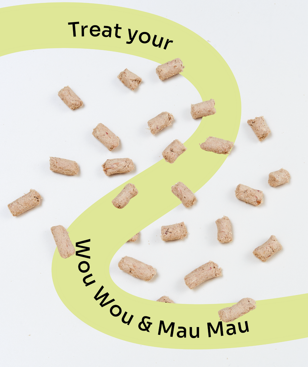 [10% OFF] Notti 2-in-1 Allergy Care Turkey & Duck Freeze-Dried Chunks 50g Treats For Dogs & Cats