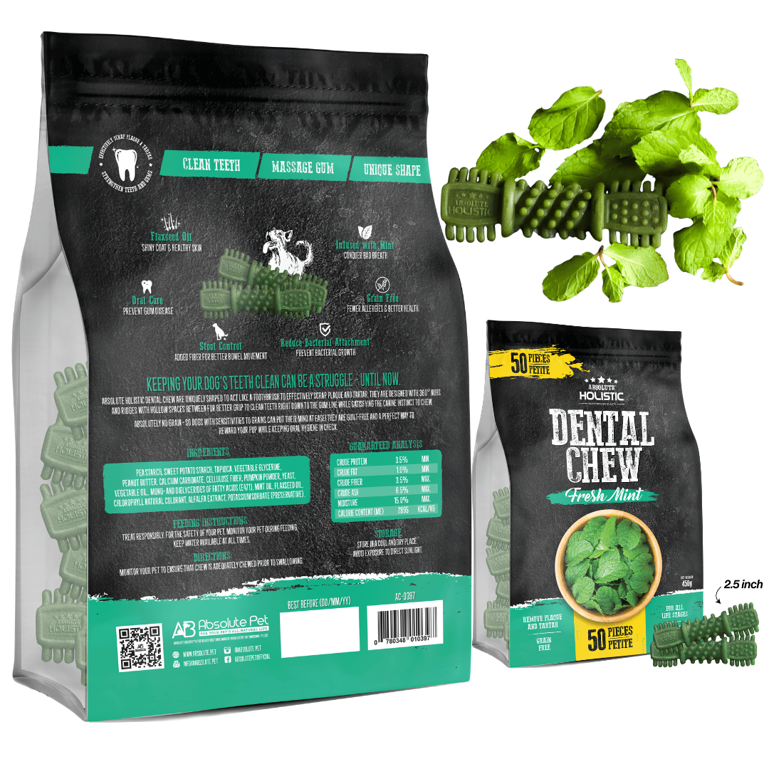 Absolute Holistic Mint Dog Dental Chew Jumbo Pack 450g (Petite - 50PCS)