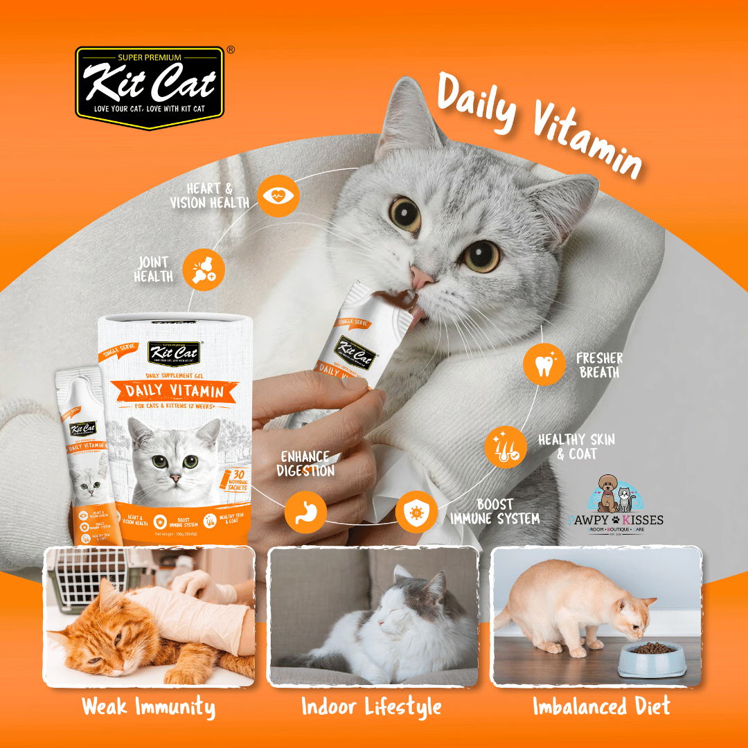 (30% OFF) Kit Cat Daily Nutritional Supplement Gel For Cats & Kittens - Daily Vitamin (Tub) | (5g x 30 sticks)
