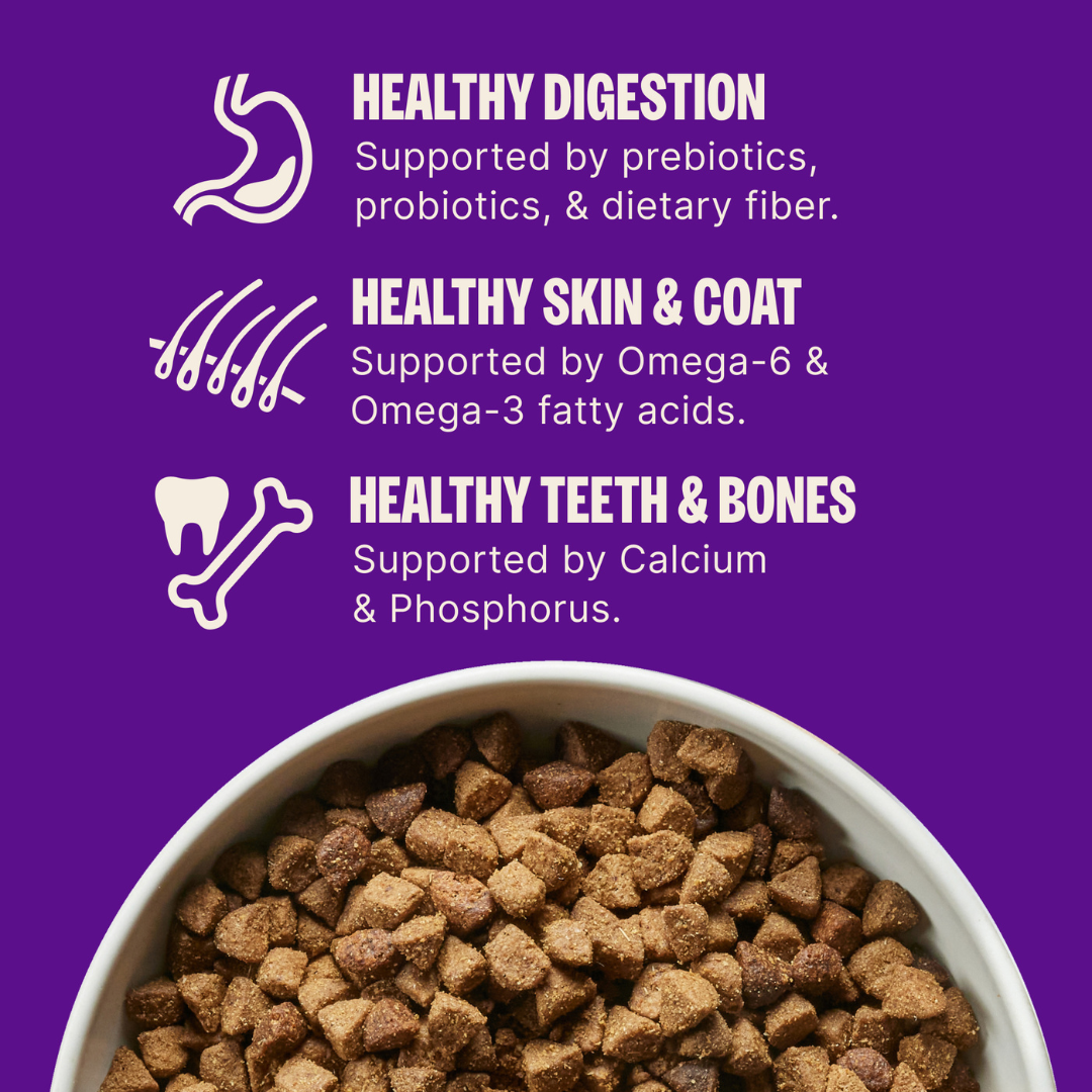 [FREE WIPE + 20% OFF] Wellness Complete Health Adult Large Breed Dry Dog Food [Weight: 30 lb]