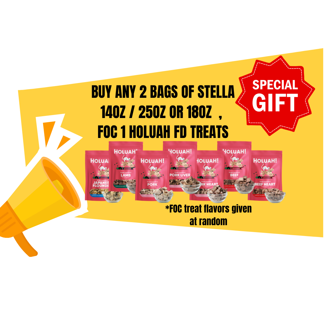 BUY 2 PACKS OF 14OZ/18OZ/25OZ STELLA & CHEWY GET A FREE HOLUAH TREAT