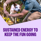 [FREE WIPE + 20% OFF] Wellness Complete Health Adult Large Breed Dry Dog Food [Weight: 30 lb]