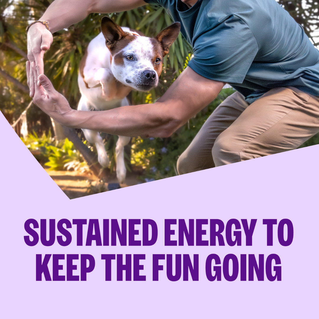 [FREE WIPE + 20% OFF] Wellness Complete Health Adult Large Breed Dry Dog Food [Weight: 30 lb]