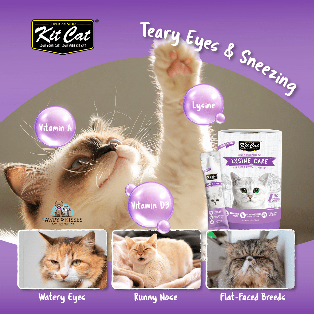 (30% OFF)Kit Cat Daily Nutritional Supplement Gel For Cats & Kittens - Lysine Care (Tub) | (5g x 30 sticks)