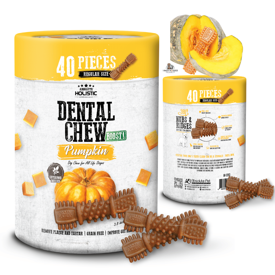 Absolute Holistic BOOST! Dental Chew Value Tub for Dogs - Pumpkin | Regular 3.8 Inch - 40PCS (1KG)