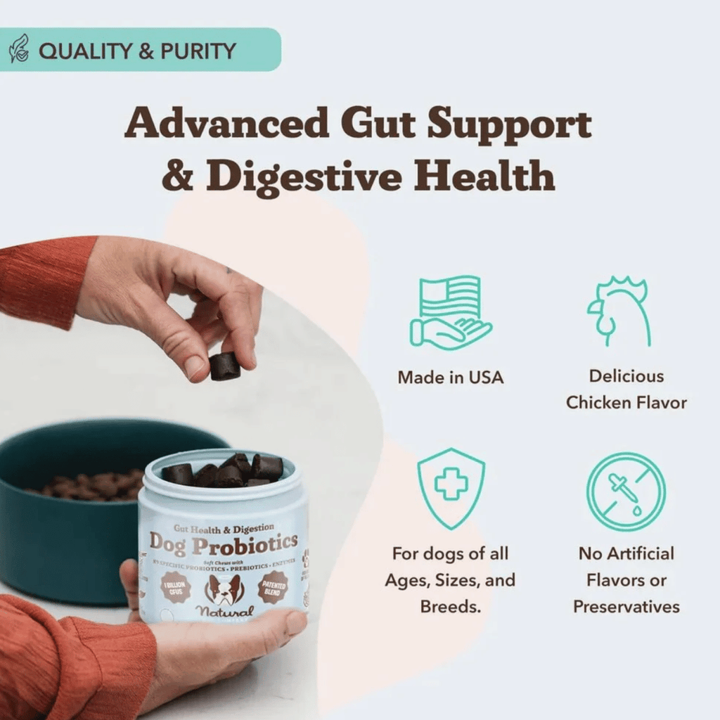 [Vet Approved] Natural Dog Probiotic Supplement (45 chews)