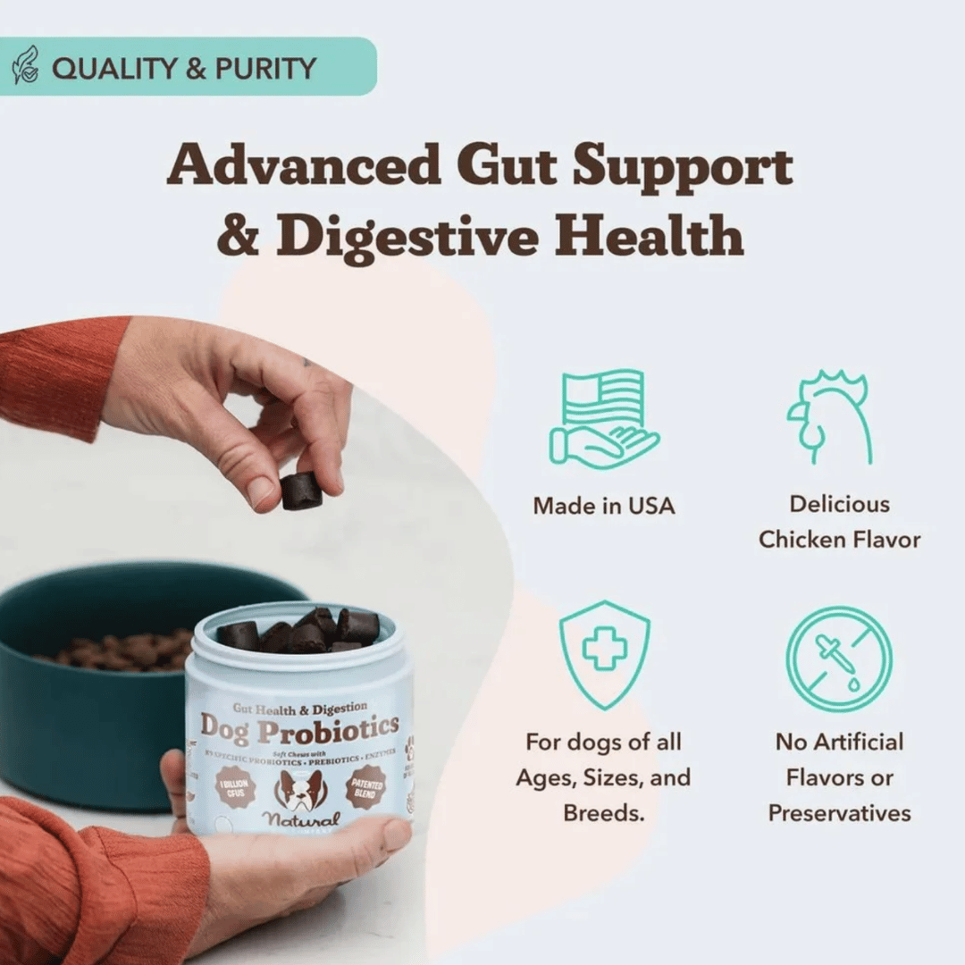 [Vet Approved] Natural Dog Probiotic Supplement (45 chews)
