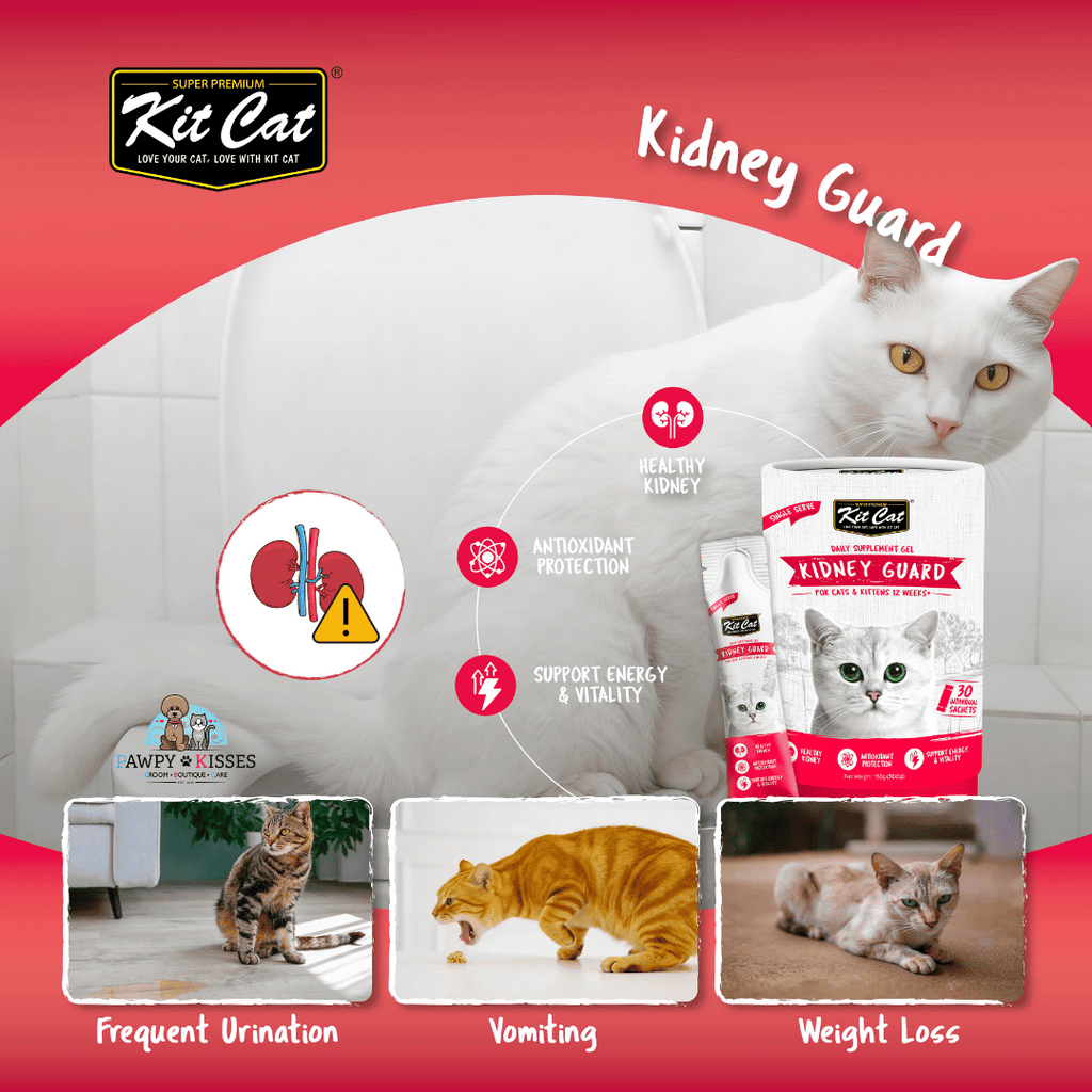 (30% OFF) Kit Cat Daily Nutritional Supplement Gel For Cats & Kittens - Kidney Guard (Tub) | (5g x 30 sticks)