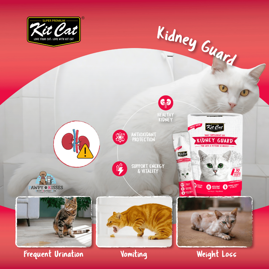 (30% OFF) Kit Cat Daily Nutritional Supplement Gel For Cats & Kittens - Kidney Guard (Tub) | (5g x 30 sticks)
