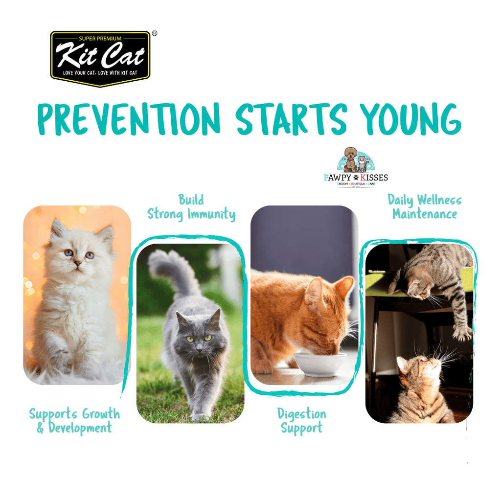 (30% OFF) Kit Cat Daily Nutritional Supplement Gel For Cats & Kittens - Daily Vitamin (Tub) | (5g x 30 sticks)