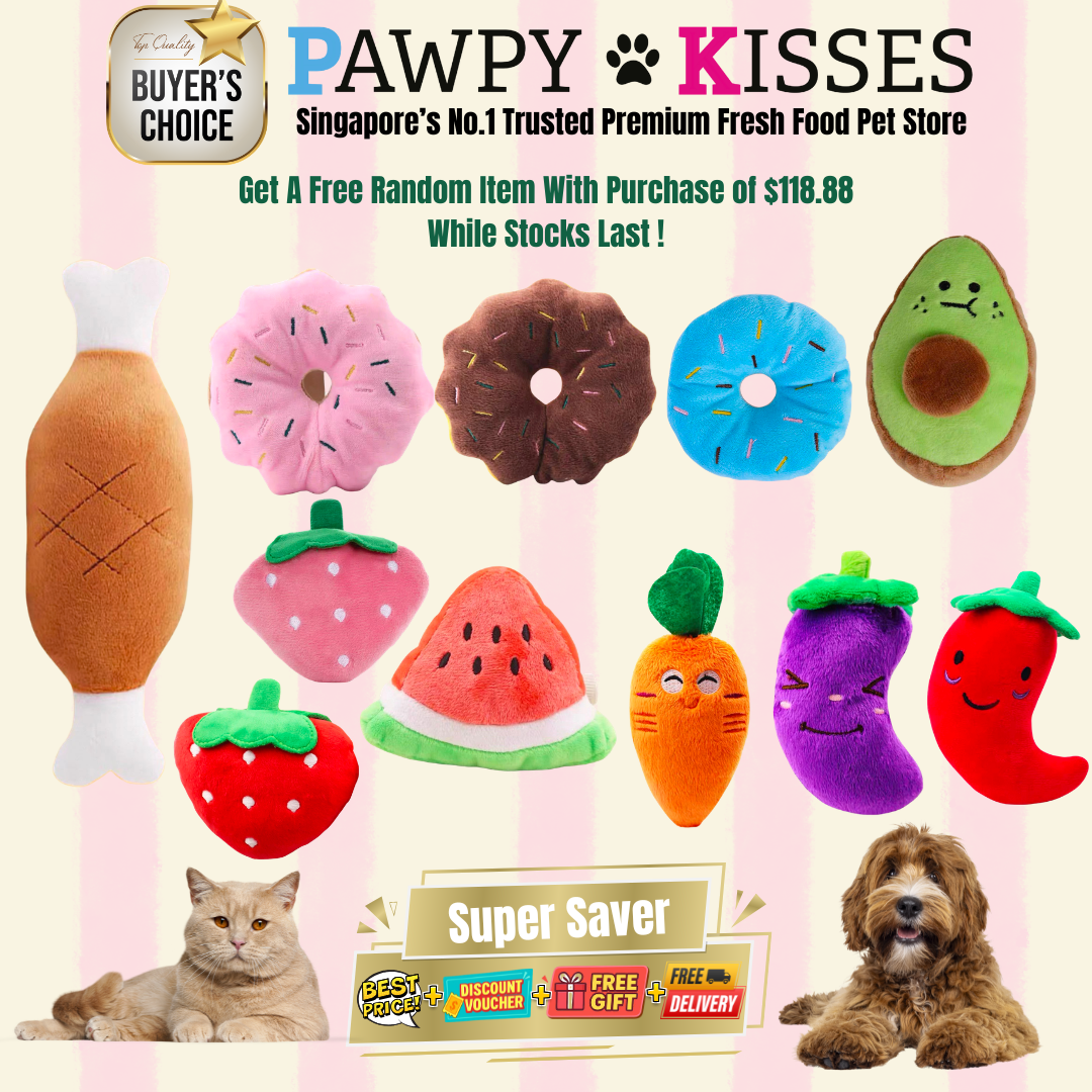 Free Gift Toy With Purchase of $118.88