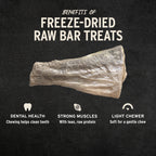 Vital Essentials RAW BAR Freeze-Dried Raw Silver Carp Filet Dog Treat, 1.12 oz