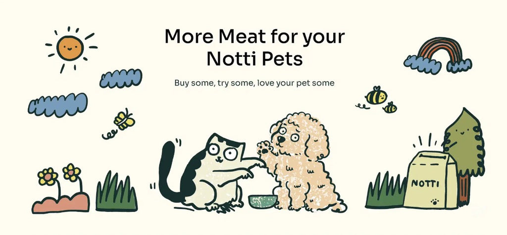 [10% OFF] Notti ActivePlay Catnip Freeze-Dried Chunks 50g Treats For Dogs & Cats