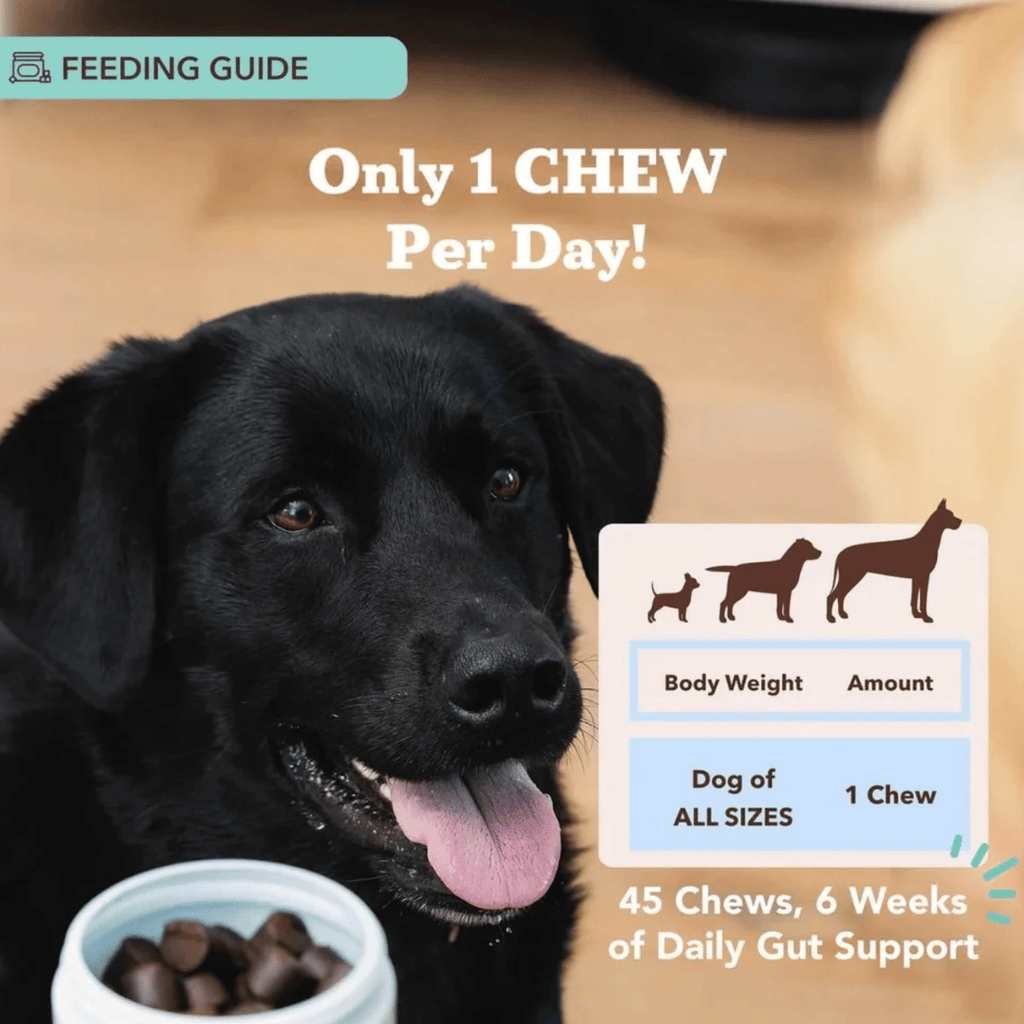 [Vet Approved] Natural Dog Probiotic Supplement (45 chews)