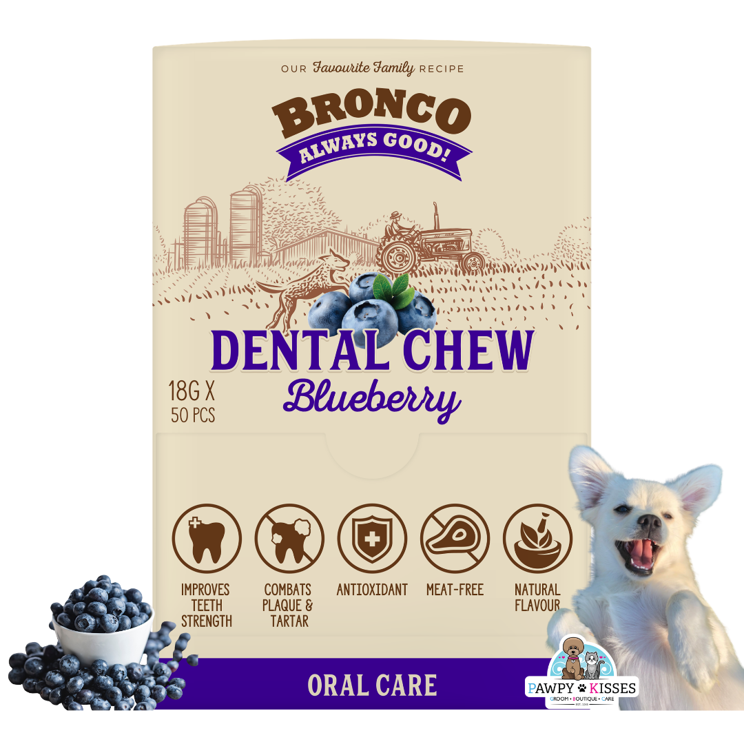 Bronco Dental Chew Blueberry 18g (Single Pack/Carton)