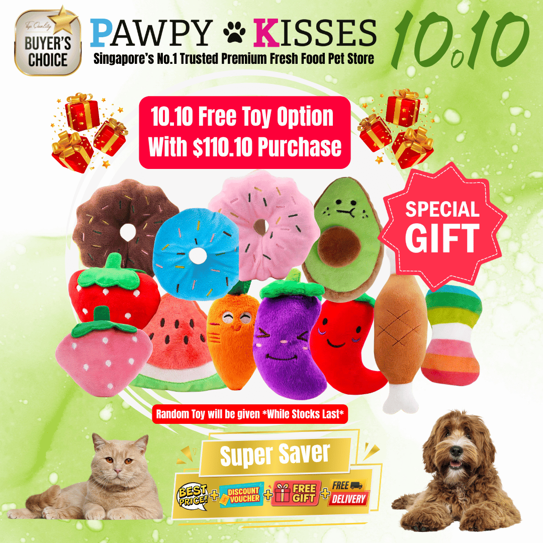 10.10 BIRTHDAY MONTH FREE TOY WITH PURCHASE $110.10