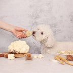 Arlo Kitchen Freeze Dried Dog Treat Detox White  (3g per patty, 15 patties in each pack) with Korean red ginseng and mushrooms