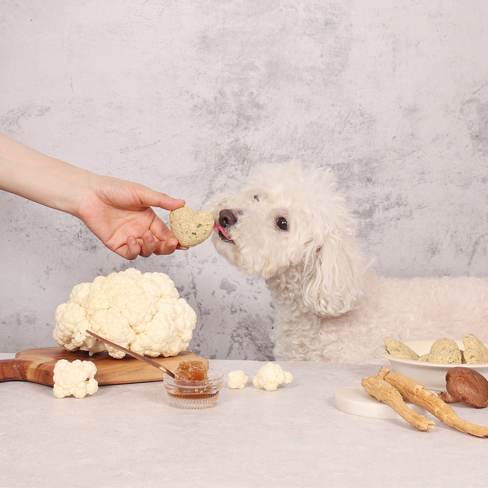 Arlo Kitchen Freeze Dried Dog Treat Detox White  (3g per patty, 15 patties in each pack) with Korean red ginseng and mushrooms