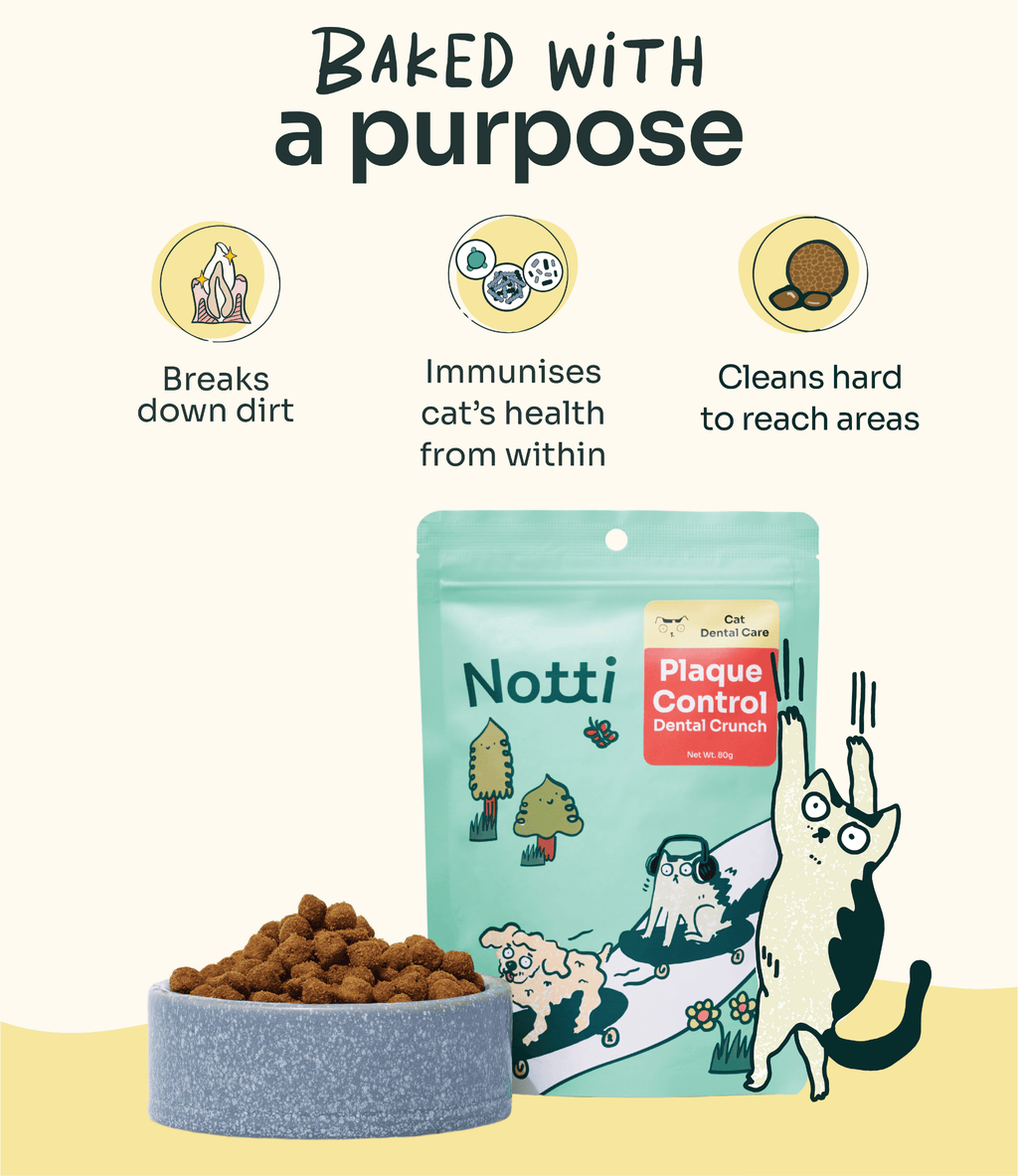 [10% OFF] Notti Mau Mau Plaque Control Dental Crunch (For Cats) Treats For Cats 80g