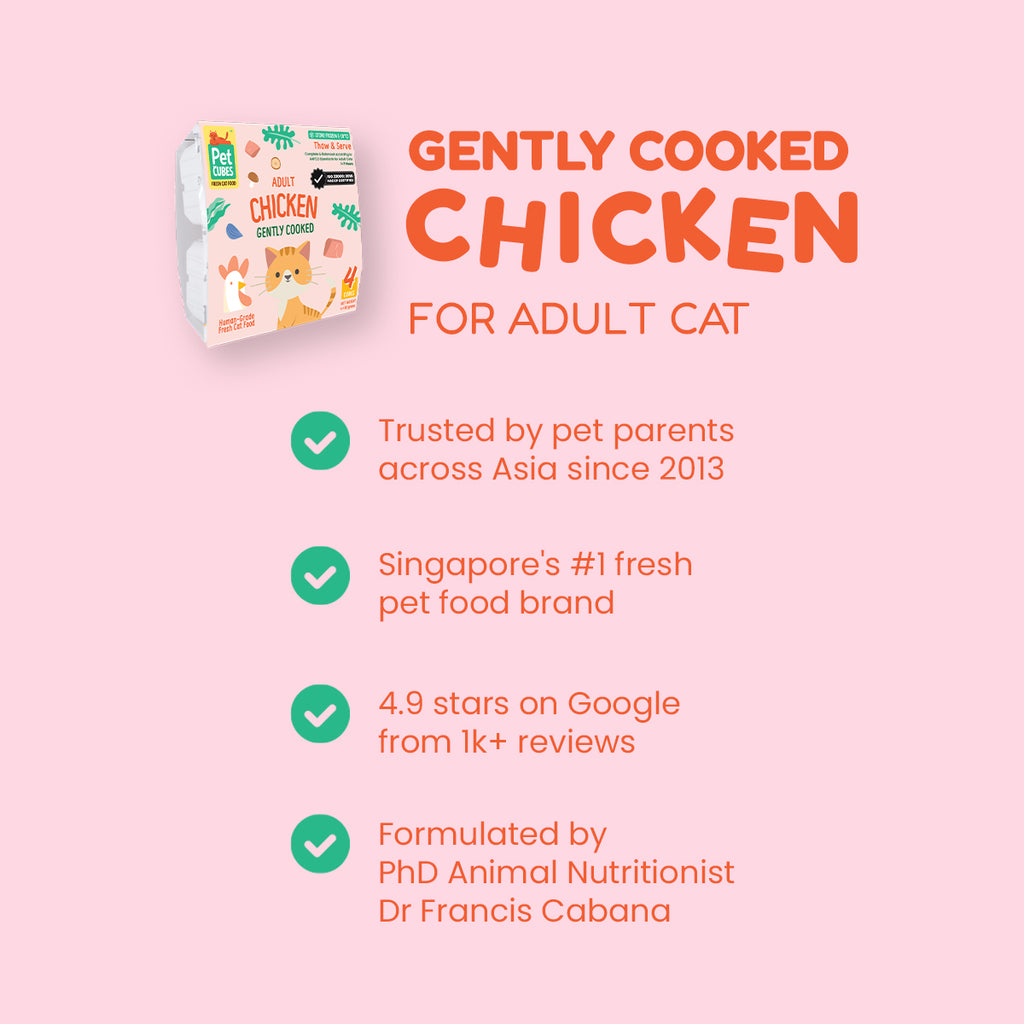 [SMOOTH] PetCubes Gently Cooked Frozen Cat Food -Smooth Chicken 1.28 KG (2 Variants)