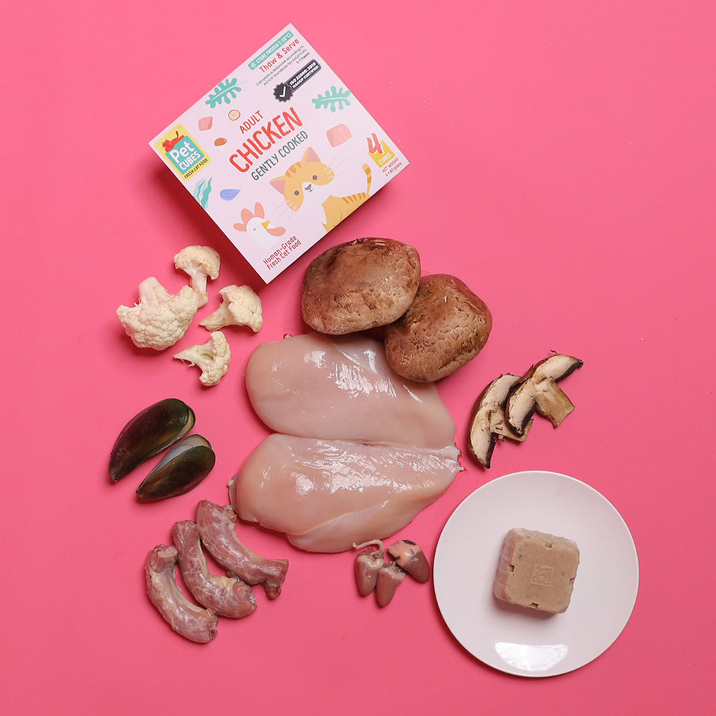[SMOOTH] PetCubes Gently Cooked Frozen Cat Food -Smooth Chicken 1.28 KG (2 Variants)