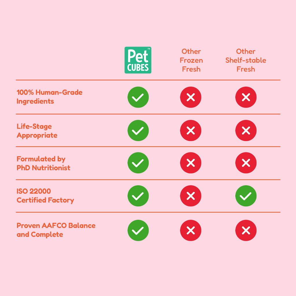 [SMOOTH] PetCubes Gently Cooked Frozen Cat Food -Smooth Chicken 1.28 KG (2 Variants)