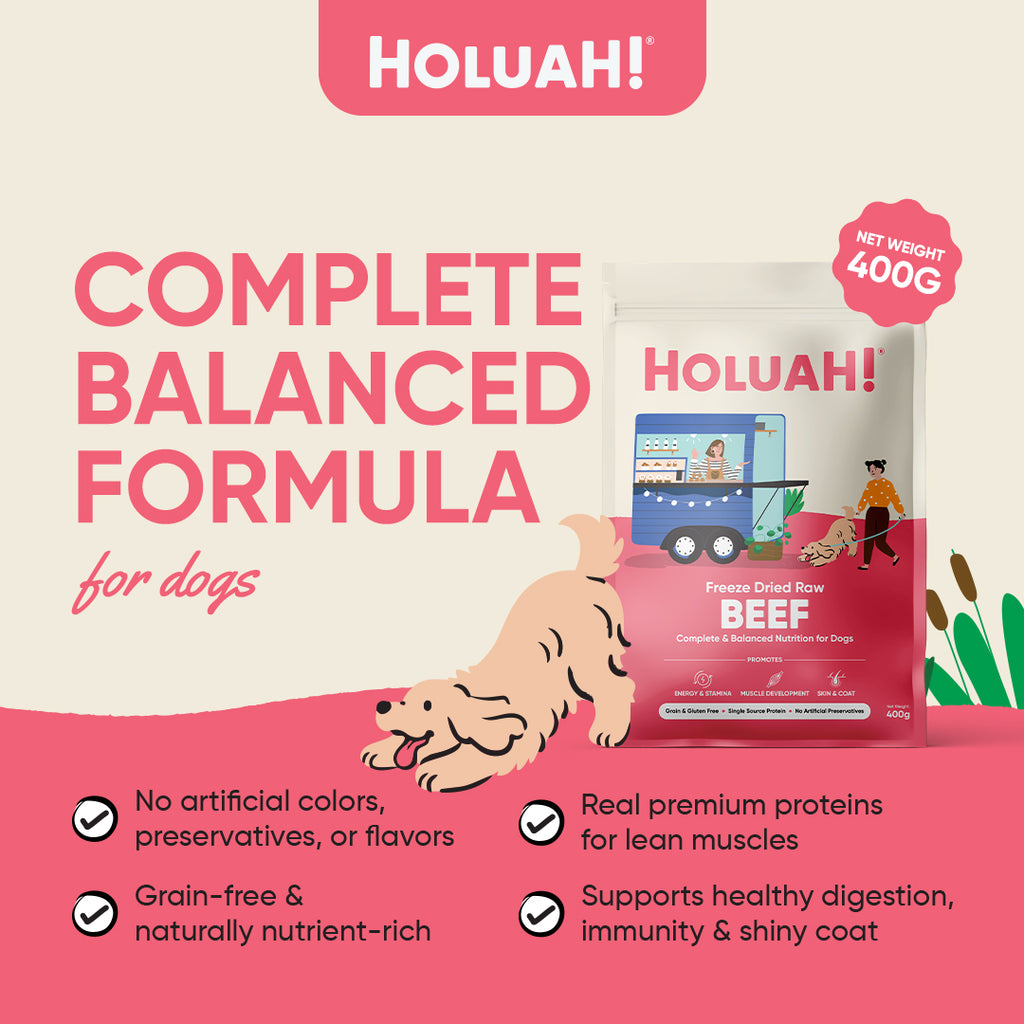Holuah! Freeze Dried Food For Dogs - Beef 400g