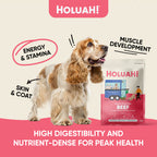 Holuah! Freeze Dried Food For Dogs - Beef 400g